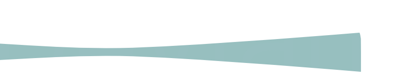 Devian LLC Logo